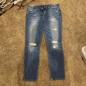 Joe Capri jeans